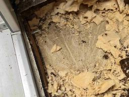 Sanierung Toilettenwagen